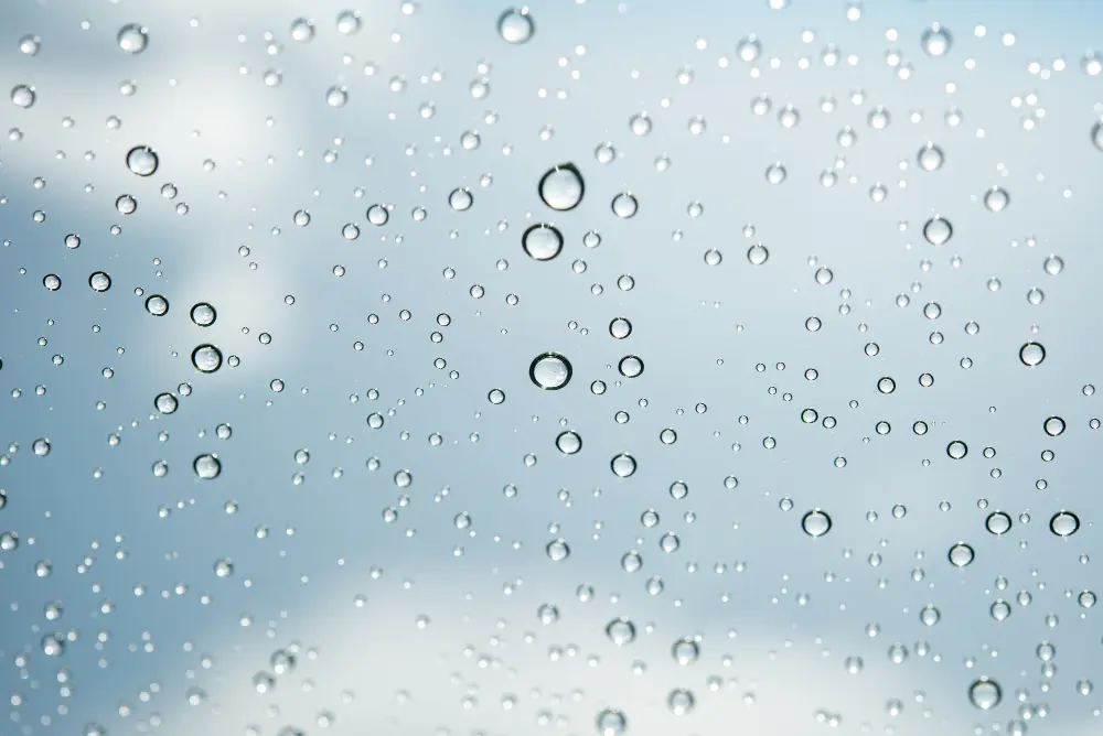 wet window - how to deal with